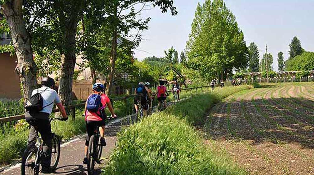 tour con guida in mountain bike ed e bike tour con guida in mountain bike ed e bike
